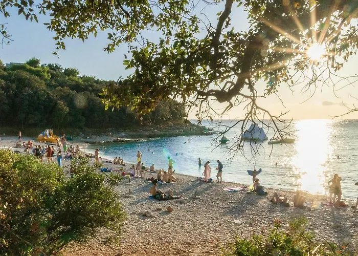 Cosy Zupanic * Póla